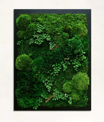 Forest Moss Frame 3d wall instalation 