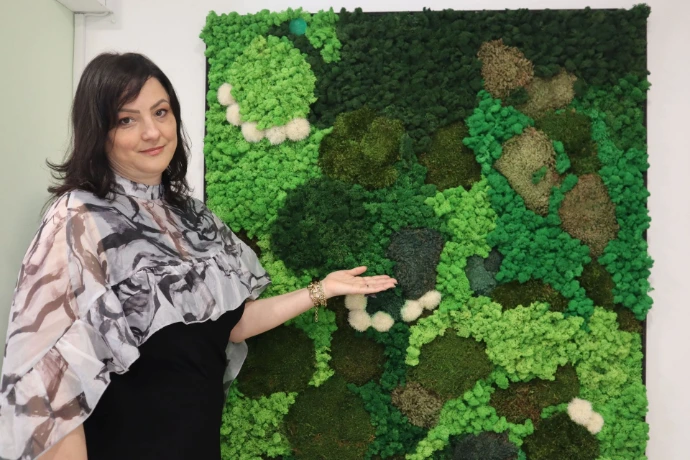 Forest Moss 3D Wall Installation at Romanian Embassy in Cyprus