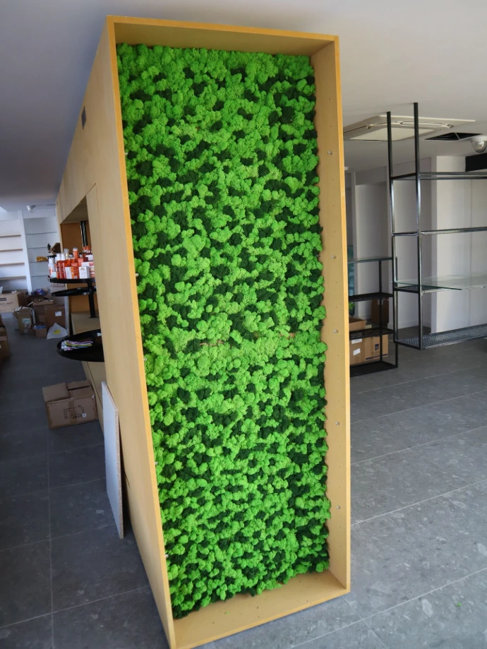 Moss Installation 3D Wall biophillic Pharamacy wellbeing 