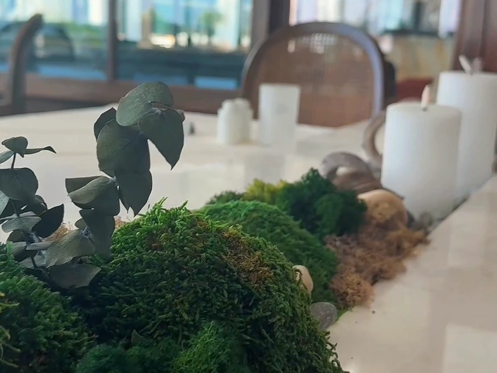 Bespoke preserved moss and plant filler composition with natural foliage and greenery in a modern interior