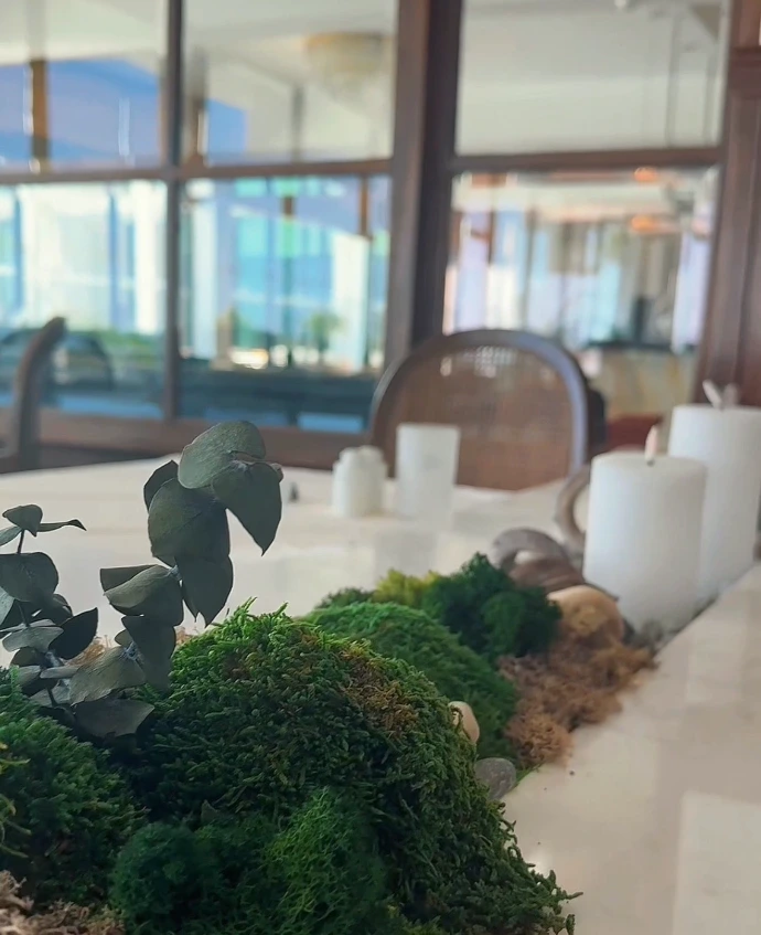 Detailed preserved moss and plant filler composition with natural textures and greenery