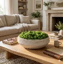 Zen Moss Bowl Centrepiece Living room
