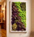 Forest Harmony Moss Frame Liliac
