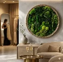Moss Wall Art  Round Frame
