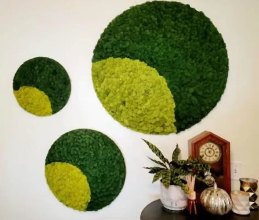 Moss Wall Art Spring Green Round Frame - Set 3
