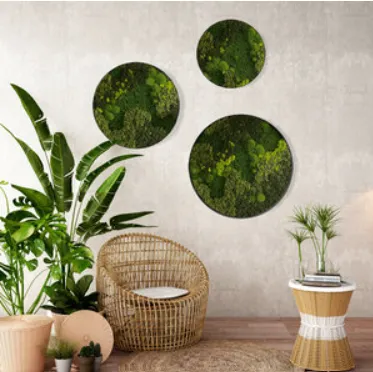 Moss Wall Art Spring Green Round Frame - Set 3