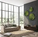 Moss Wall Art Spring Green Round Frame - Set 3