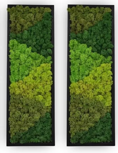 Preserved Moss Wall Art Frame – Rectangle Set of 2