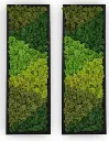 Preserved Moss Wall Art Frame – Rectangle Set of 2