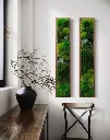 Preserved Moss Wall Art Frame – Rectangle Set of 2