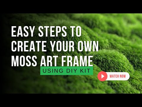 DIY Moss Kit Cyprus  Design With Moss