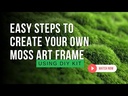 DIY Moss Kit Cyprus  Design With Moss