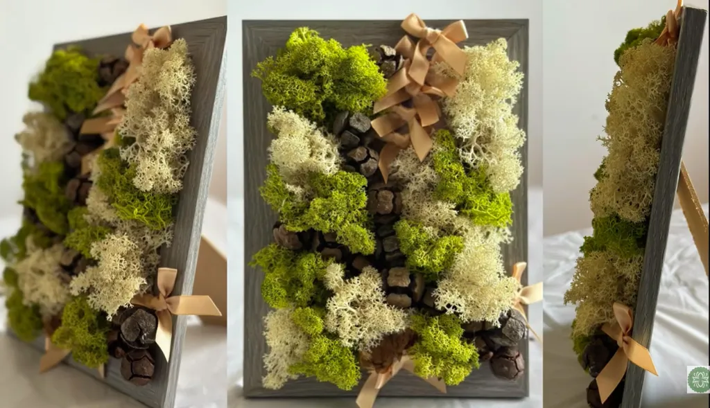 DIY Moss Kit Cyprus  Design With Moss 3.webp