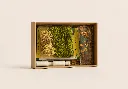 DIY Moss Kit Cyprus  Design With Moss 1.webp