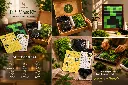DIY Minecraft Moss Frame Kit Box.webp