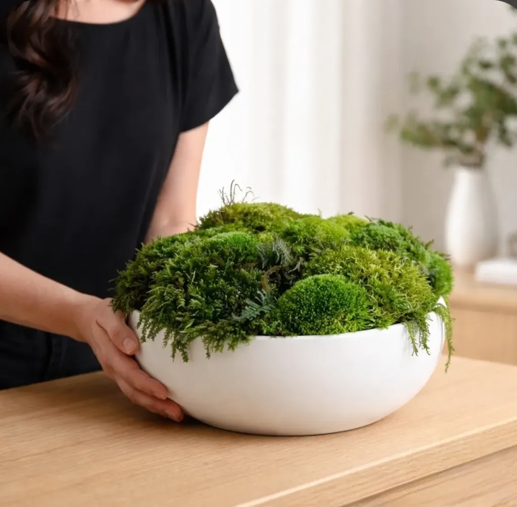Zen Moss Bowl Centrepiece